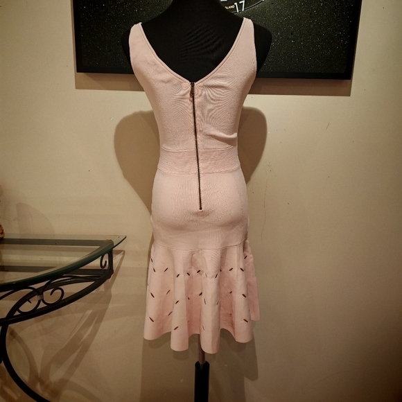 Ted Baker Women's Full Needle Stitch Detailed Hem Mini Dress in Pink, Ambyr-0230 - Picture 11 of 14